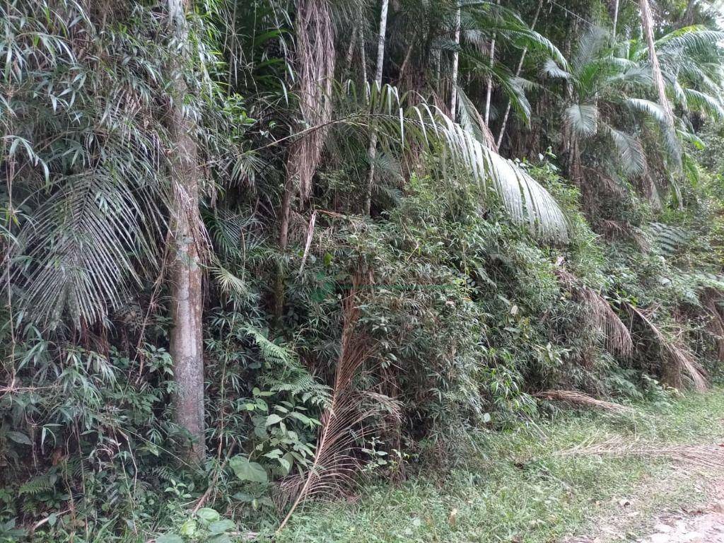 Loteamento e Condomínio à venda, 10000M2 - Foto 1