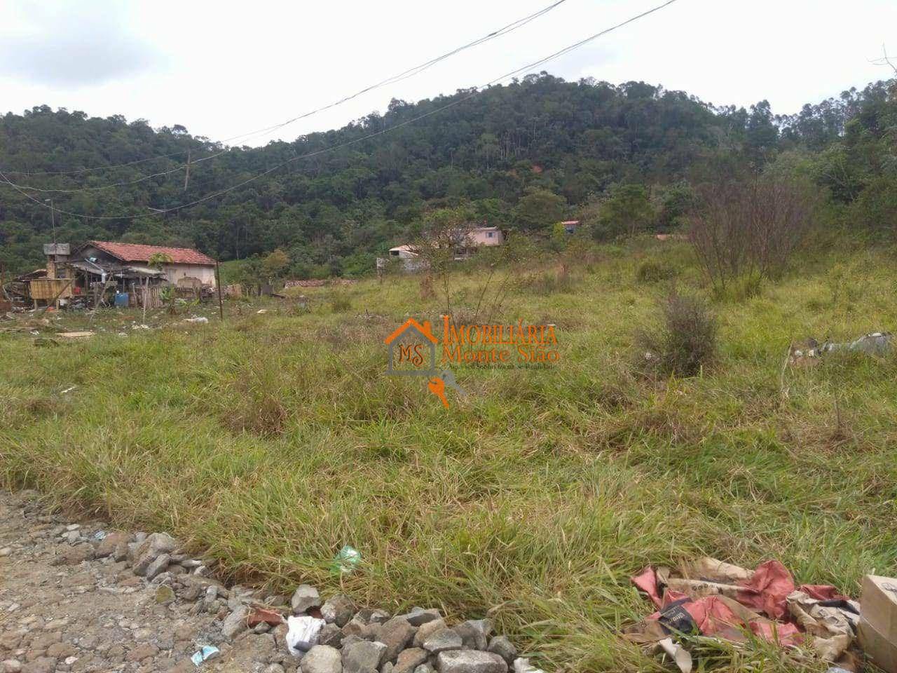 Terreno à venda, 312000M2 - Foto 17