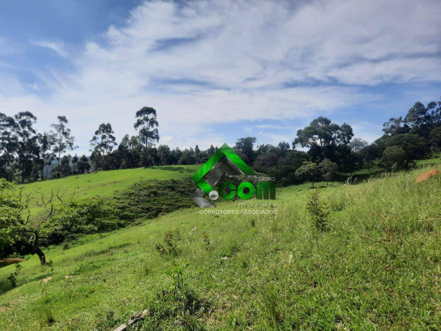 Terreno à venda, 20000M2 - Foto 15