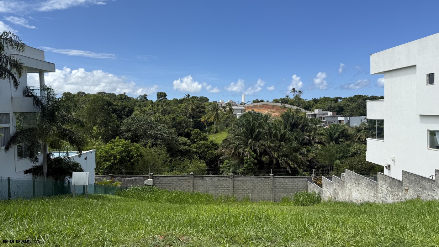 Terreno à venda, 392m² - Foto 7