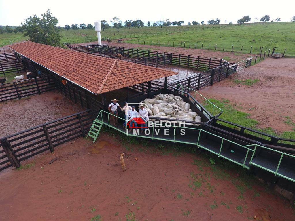 Fazenda à venda, 26741000M2 - Foto 14