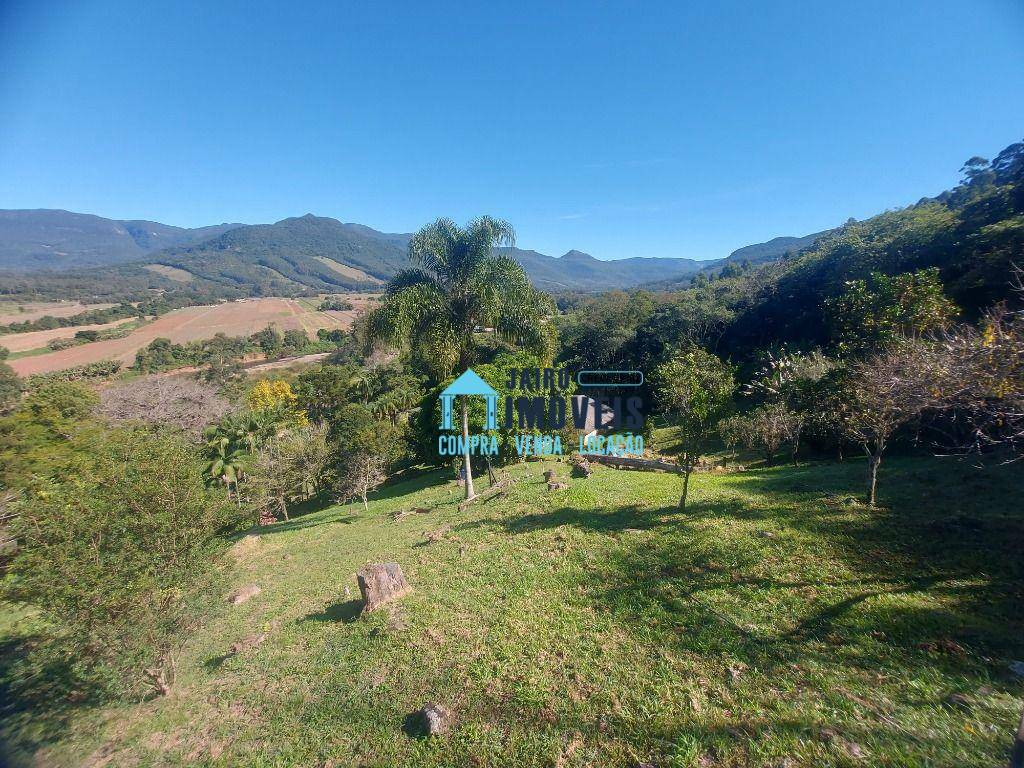 Sítio, 53 hectares - Foto 3