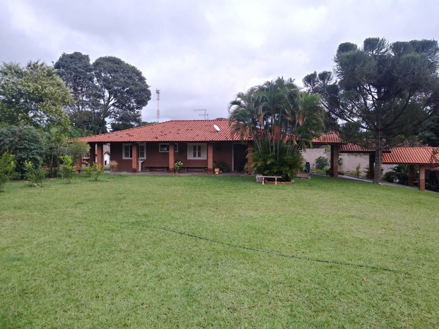 Fazenda à venda com 4 quartos, 5000m² - Foto 14