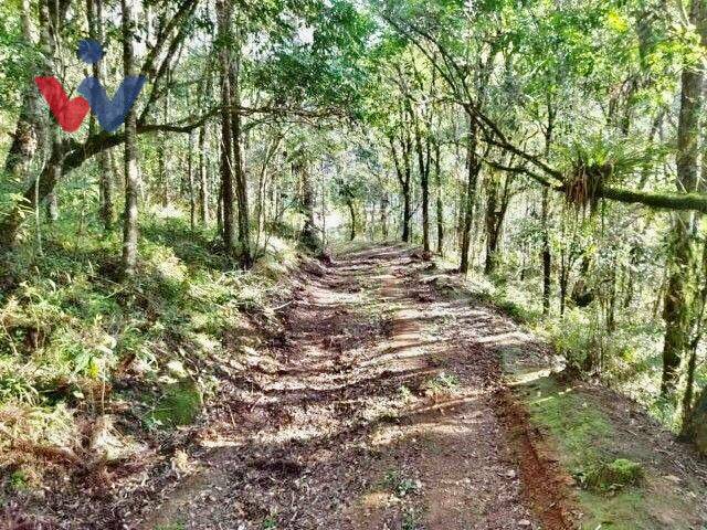 Sítio à venda com 3 quartos, 395750M2 - Foto 7