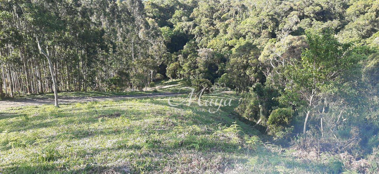 Terreno à venda, 140000M2 - Foto 8