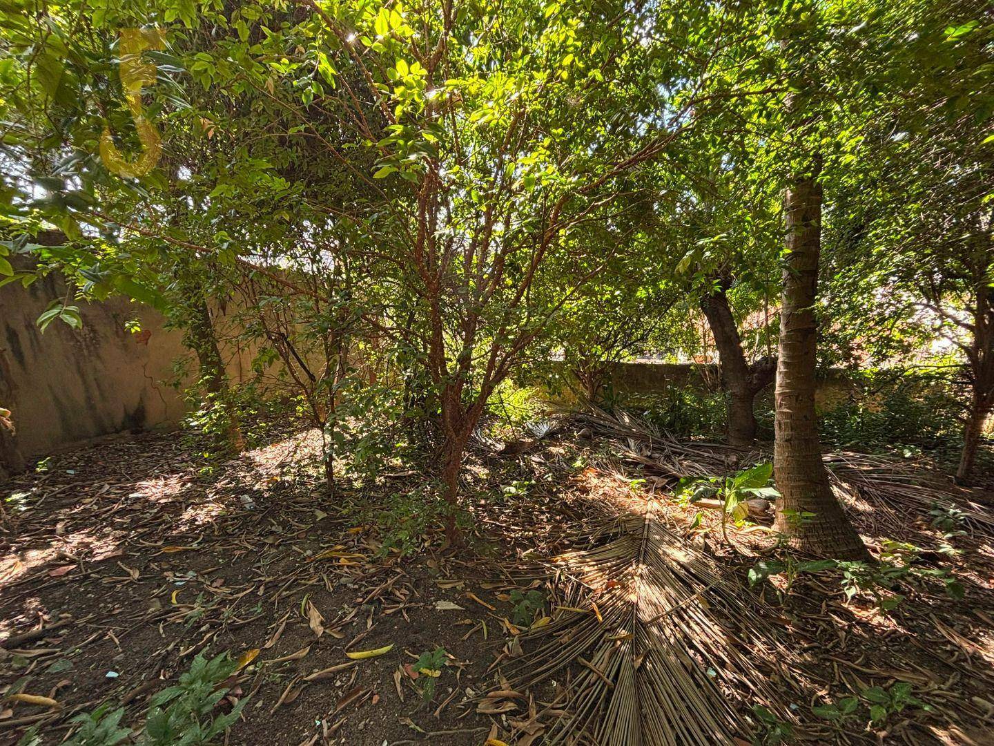 Terreno à venda, 375M2 - Foto 11