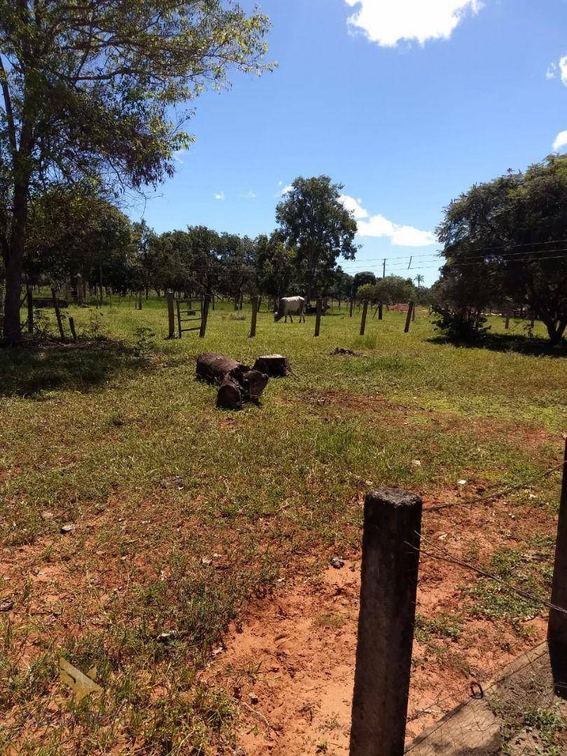 Chácara à venda com 5 quartos, 60000M2 - Foto 7