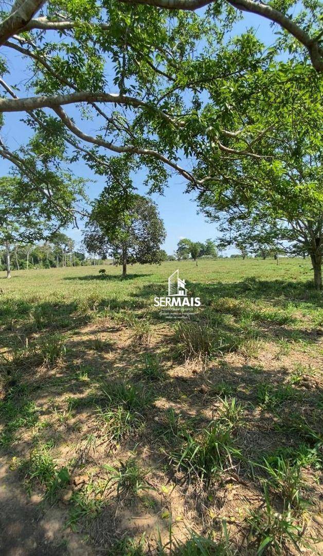 Chácara, 1 quarto, 8 hectares - Foto 3