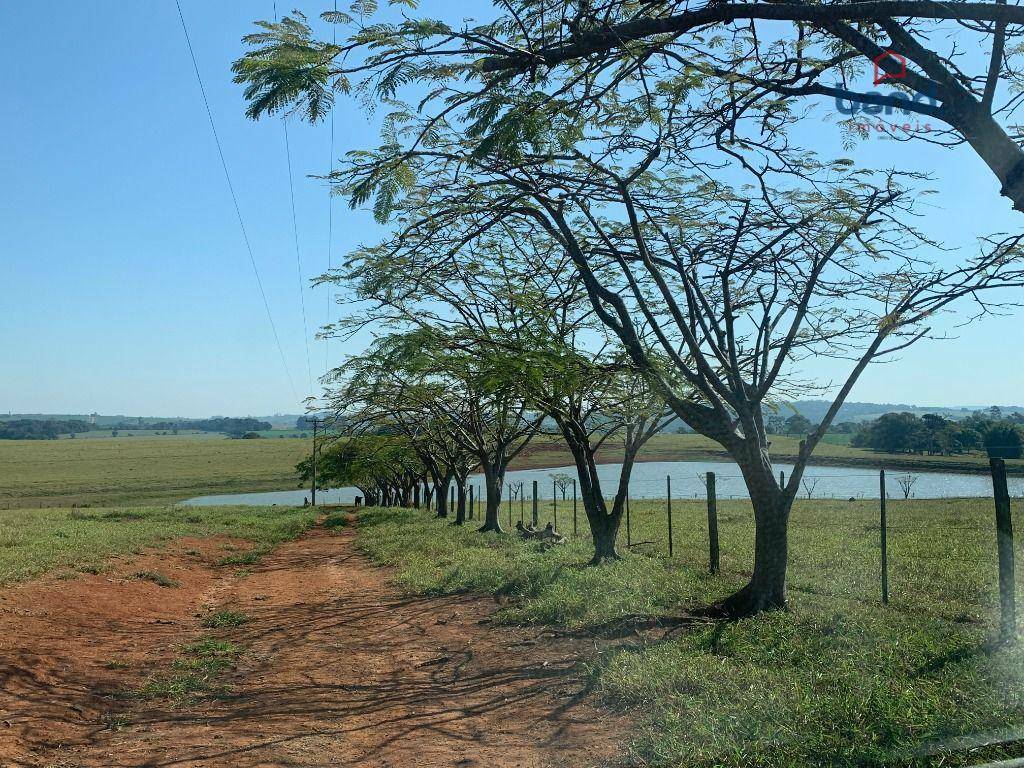 Fazenda à venda, 2265100M2 - Foto 11