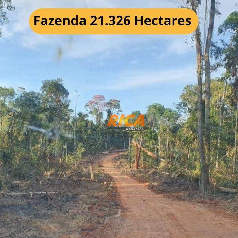 Fazenda-Sítio-Chácara, 21326 hectares - Foto 1