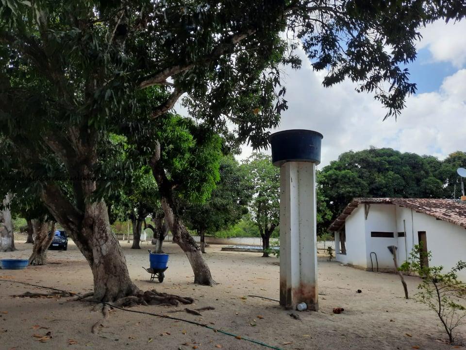 Fazenda à venda com 2 quartos, 14m² - Foto 1