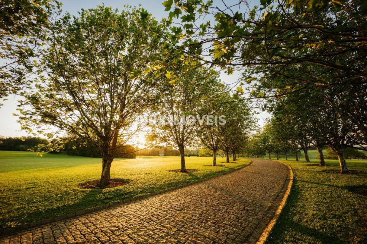 Terreno à venda, 479m² - Foto 6