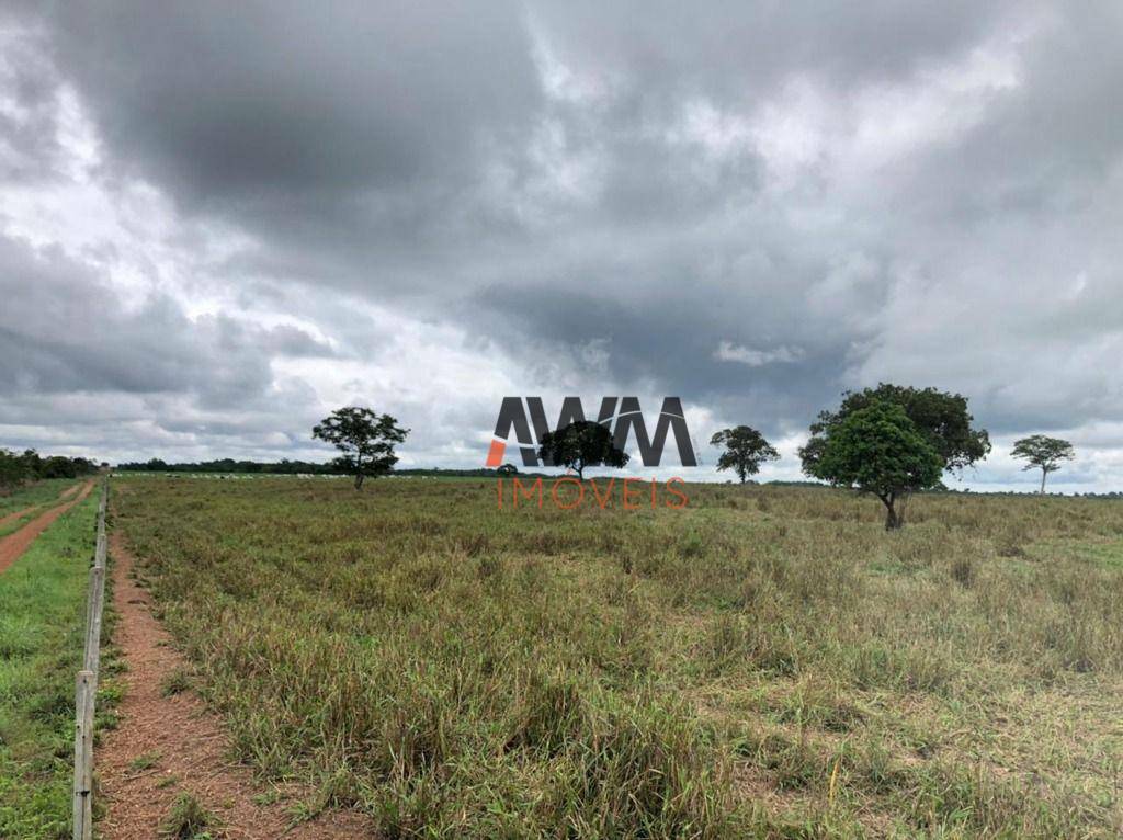 Fazenda à venda, 44286000M2 - Foto 16