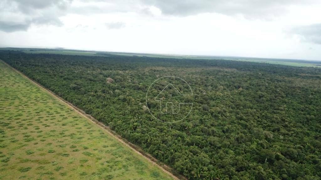 Fazenda à venda, 203030000M2 - Foto 14