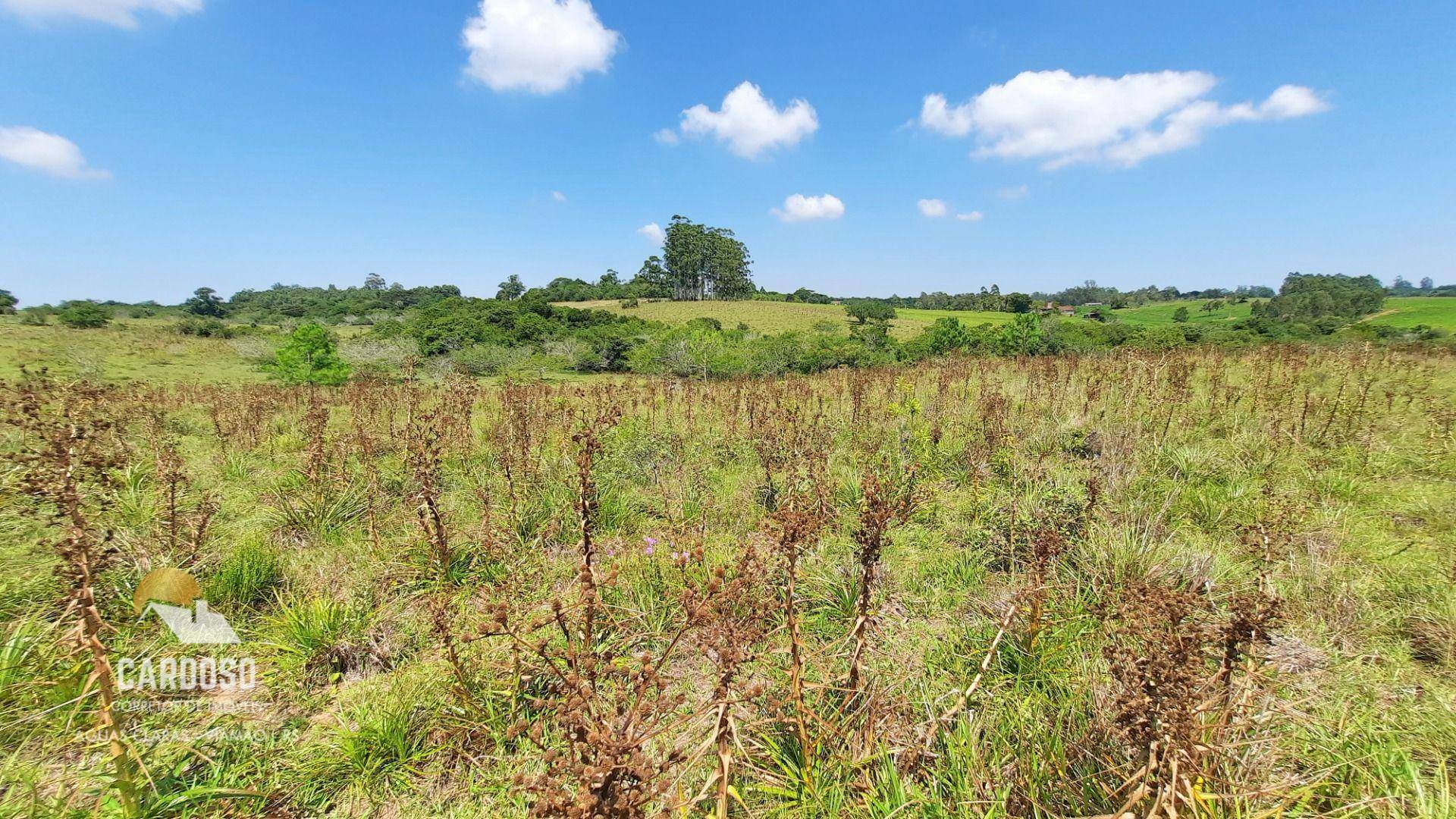 Sítio à venda, 179000M2 - Foto 37