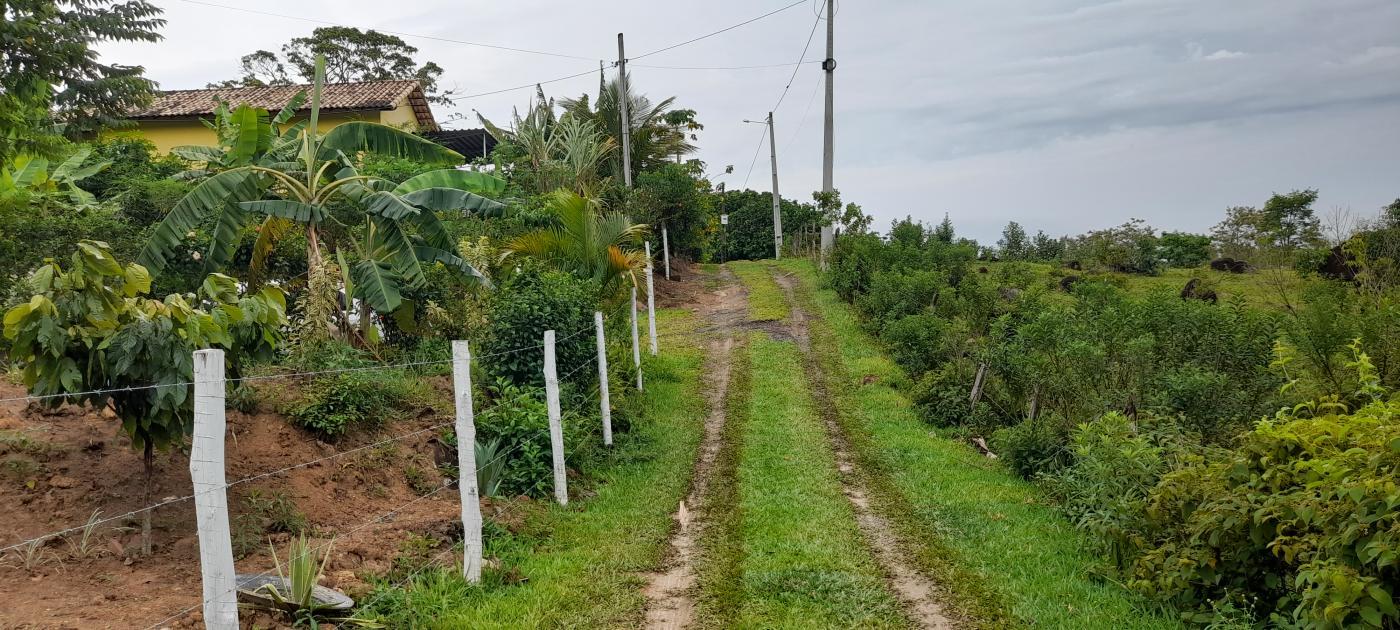 Fazenda à venda com 1 quarto, 1200m² - Foto 13