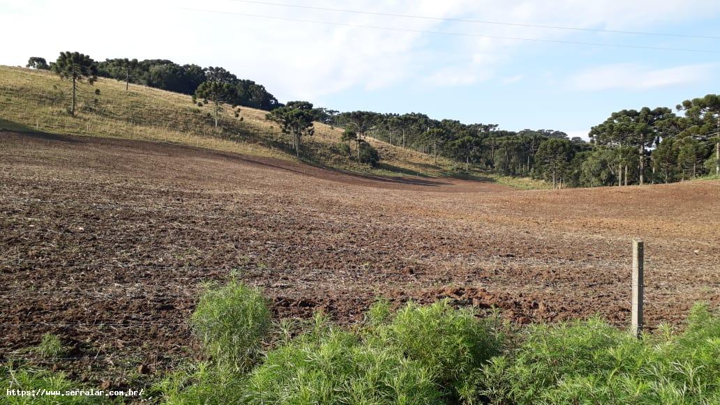 Fazenda à venda, 34m² - Foto 19