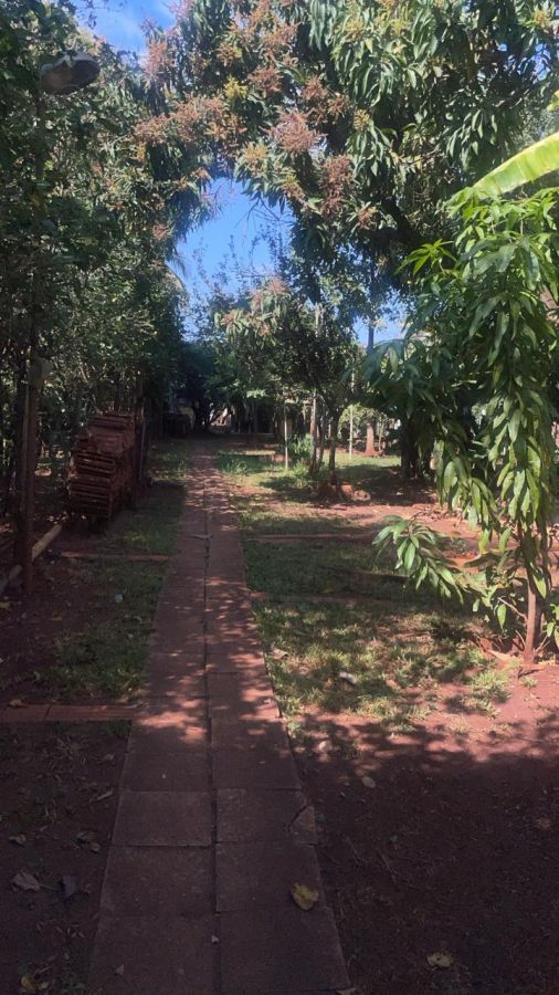 Sítio à venda com 2 quartos, 325m² - Foto 8