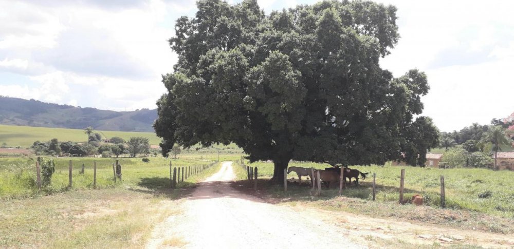 Fazenda à venda, 222m² - Foto 23