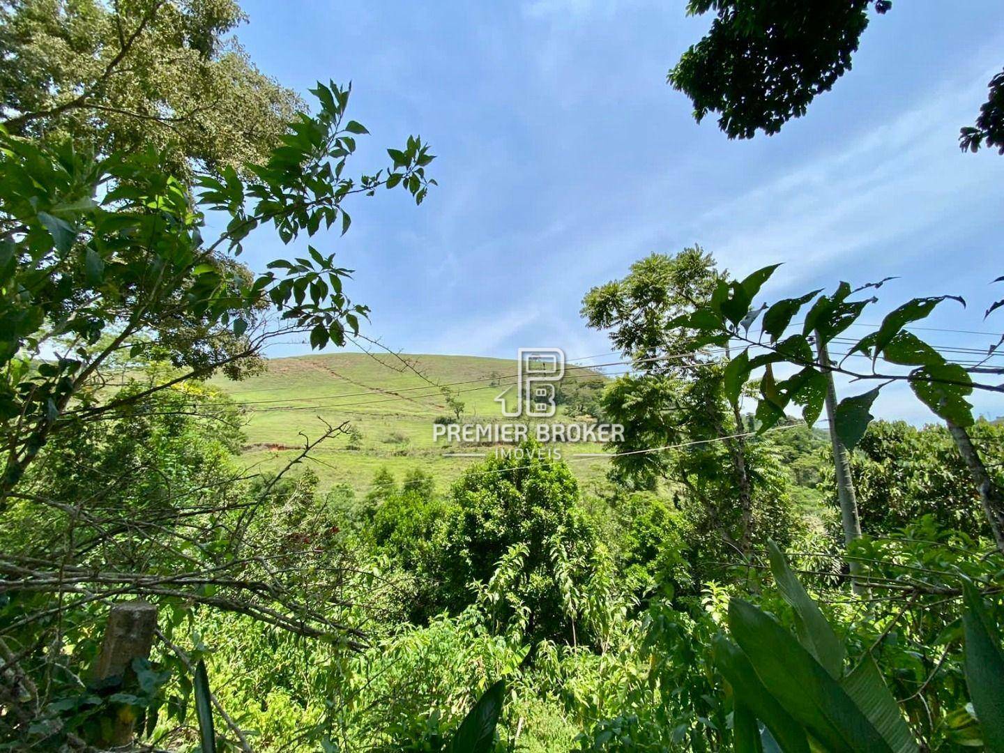 Fazenda à venda com 5 quartos, 300m² - Foto 58