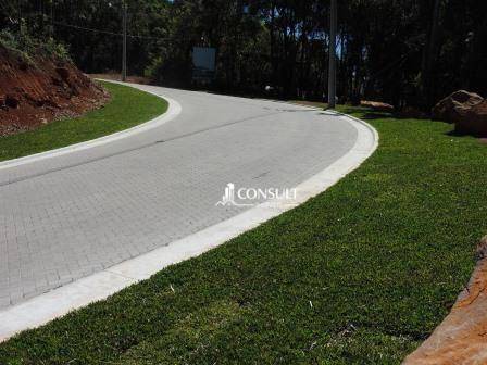 Loteamento e Condomínio, 703 m² - Foto 9