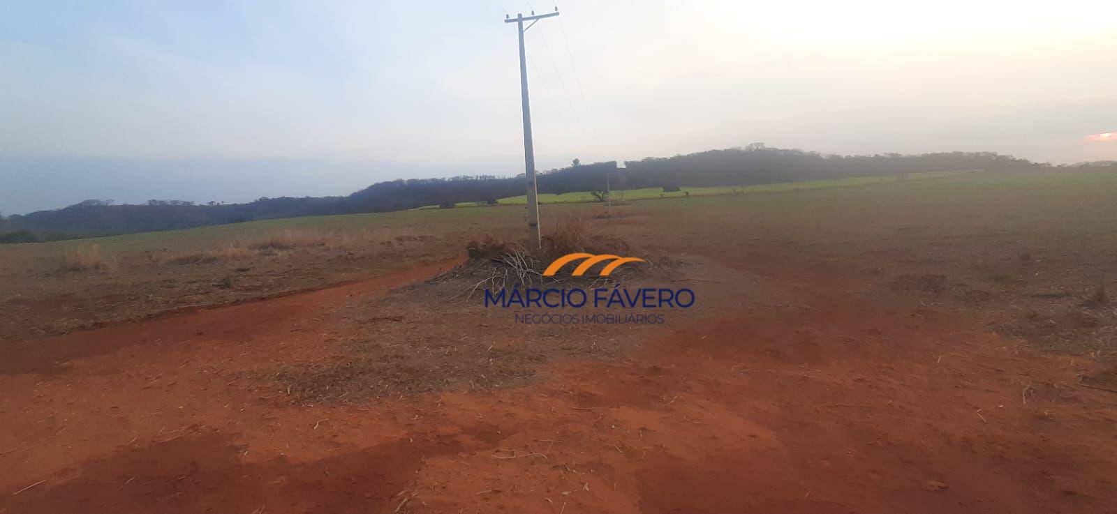 Fazenda-Sítio-Chácara, 203 hectares - Foto 2