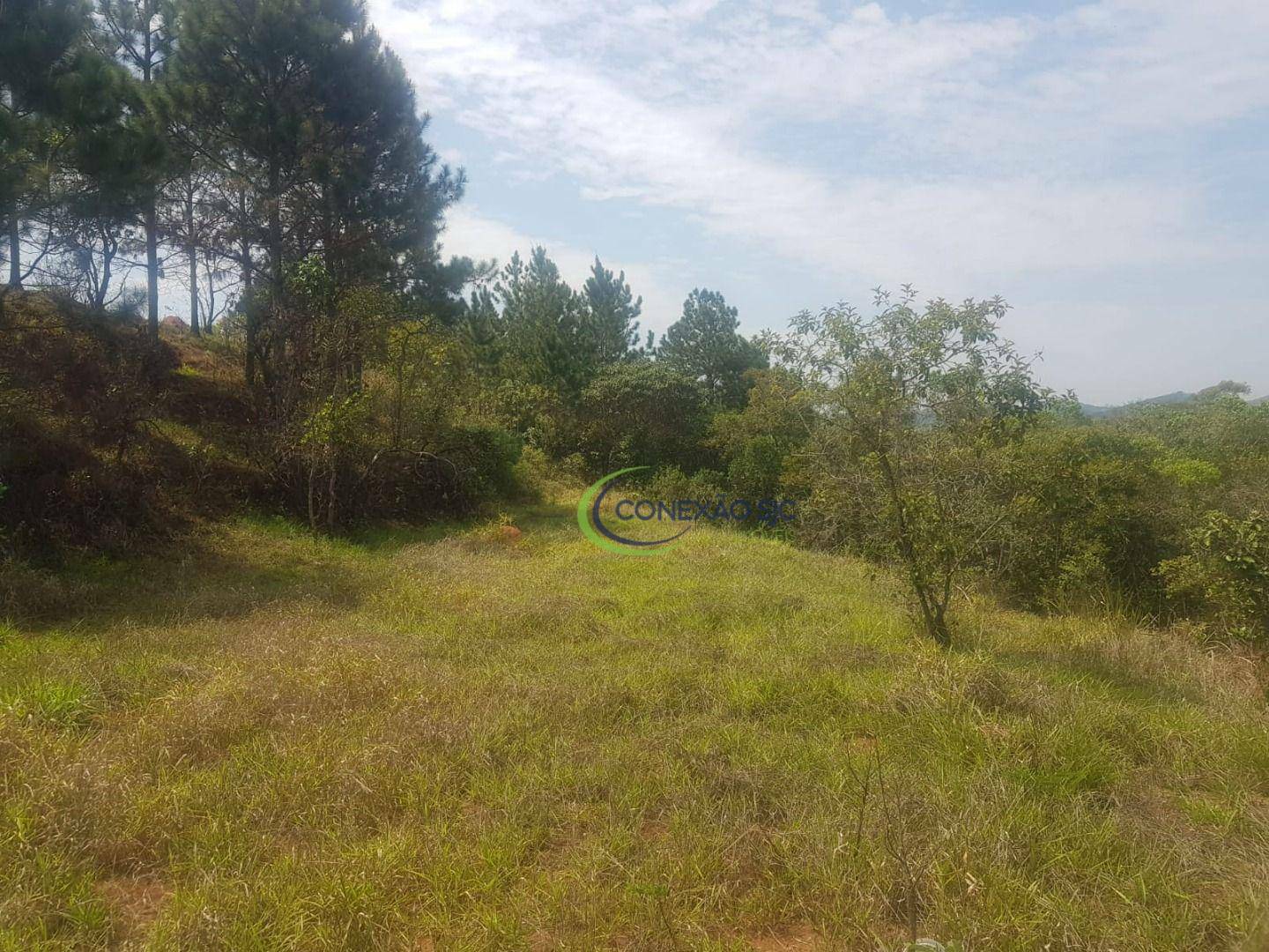 Fazenda à venda com 6 quartos, 1200000M2 - Foto 27