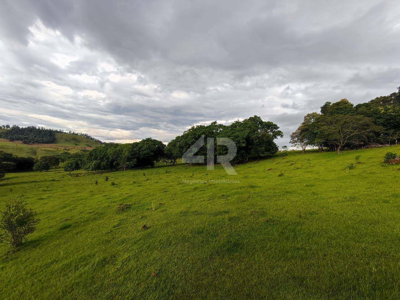 Terreno à venda, 242000M2 - Foto 4