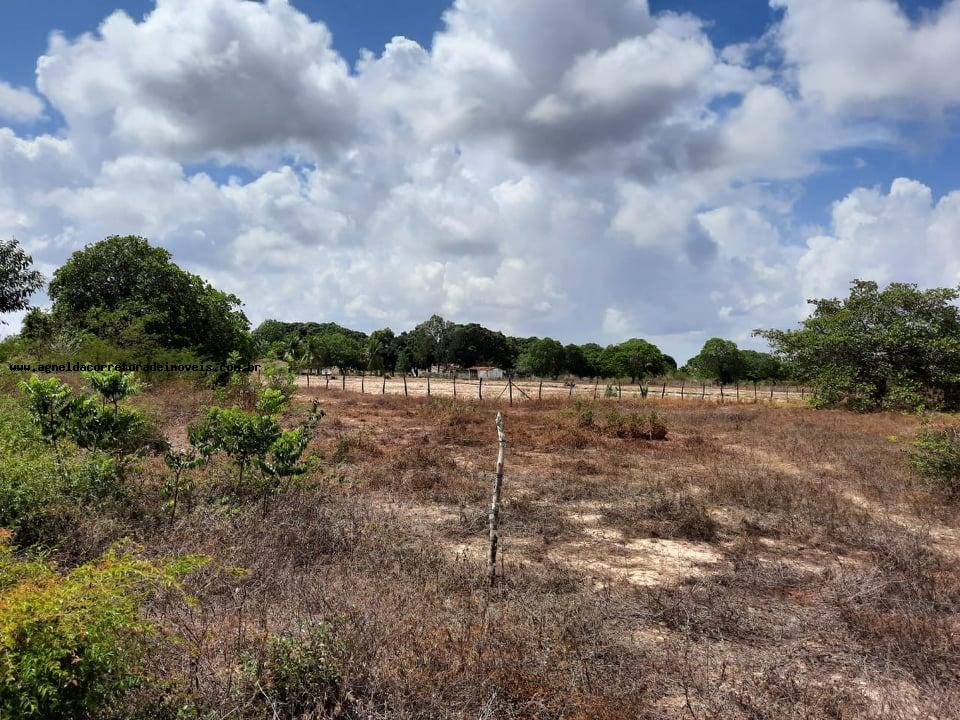 Fazenda à venda com 2 quartos, 14m² - Foto 15