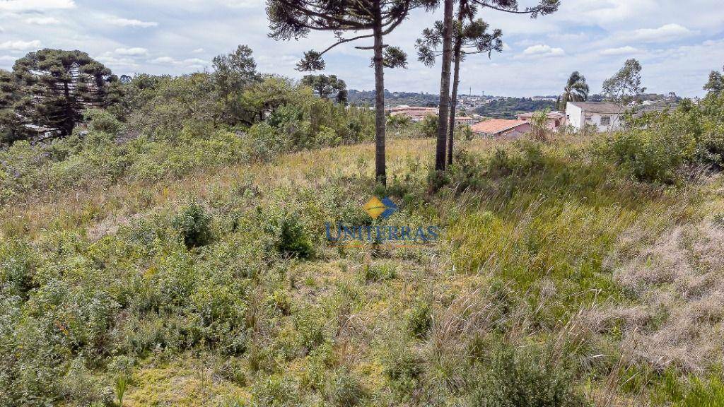 Terreno à venda, 19118M2 - Foto 39