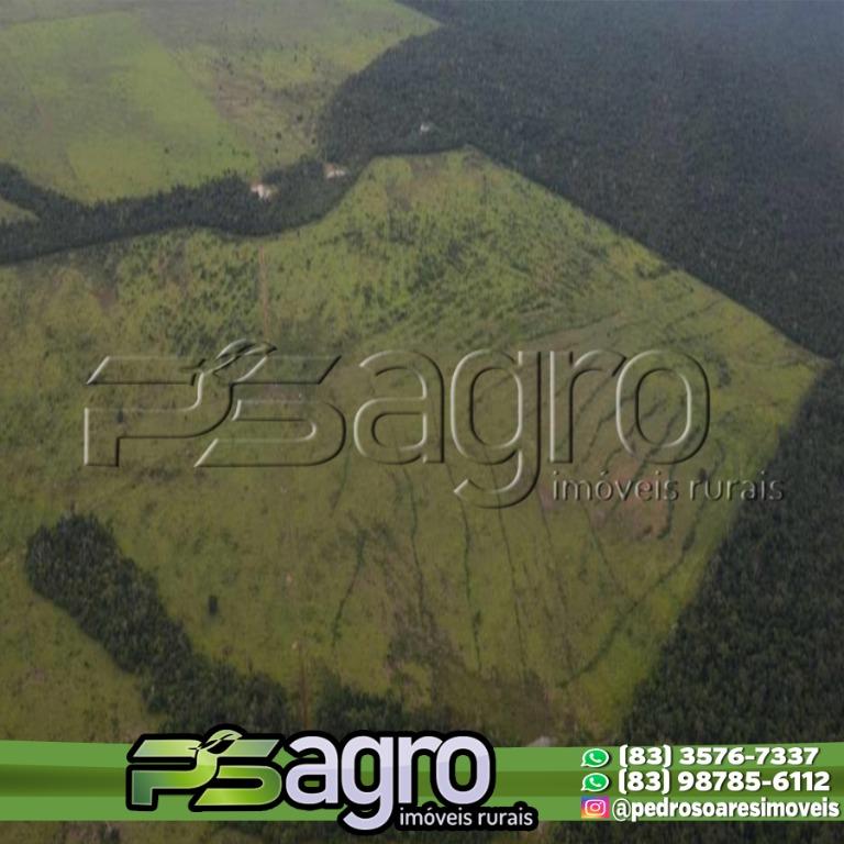 Fazenda-Sítio-Chácara, 36000 hectares - Foto 4