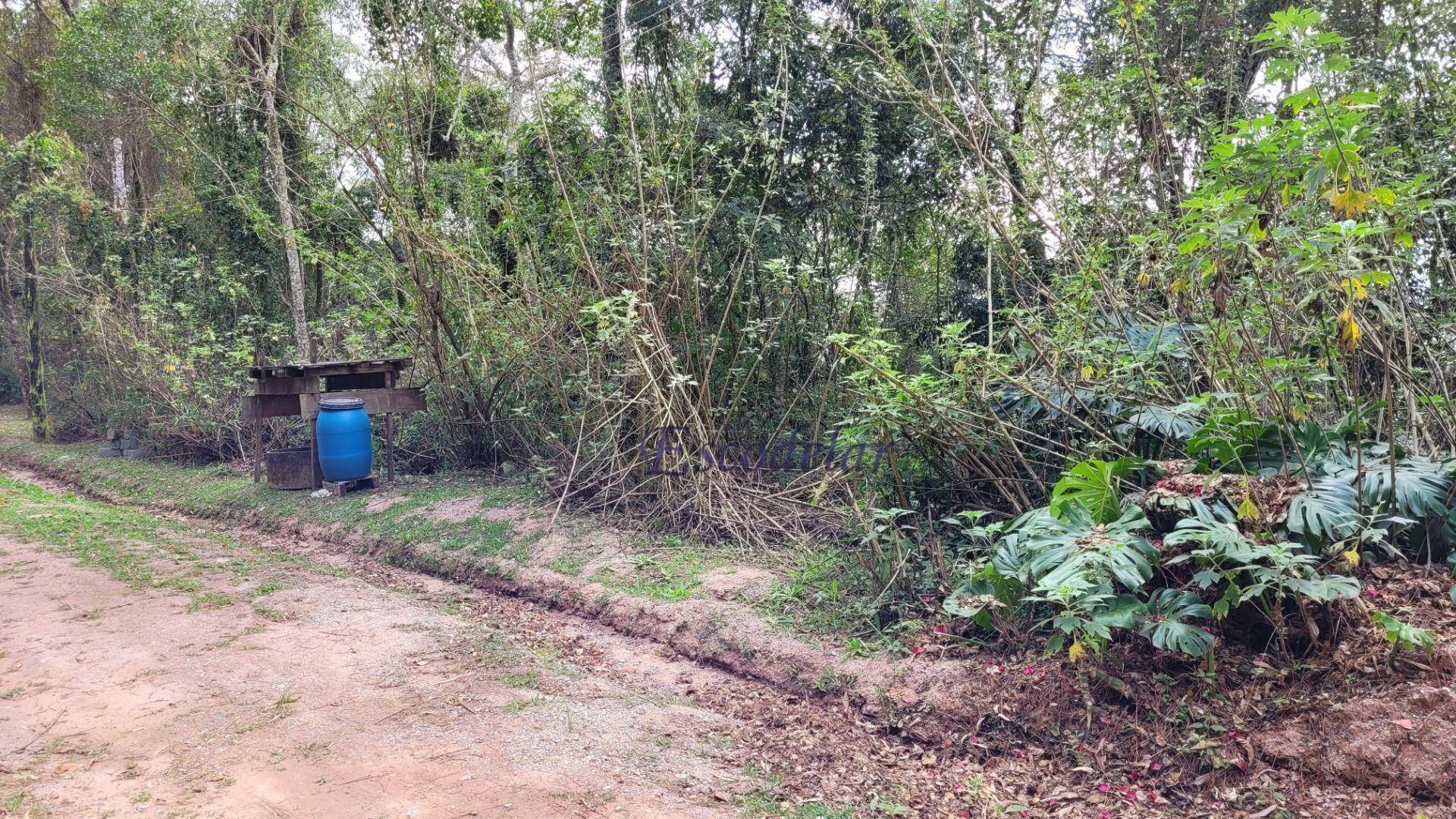 Terreno à venda, 3000M2 - Foto 3