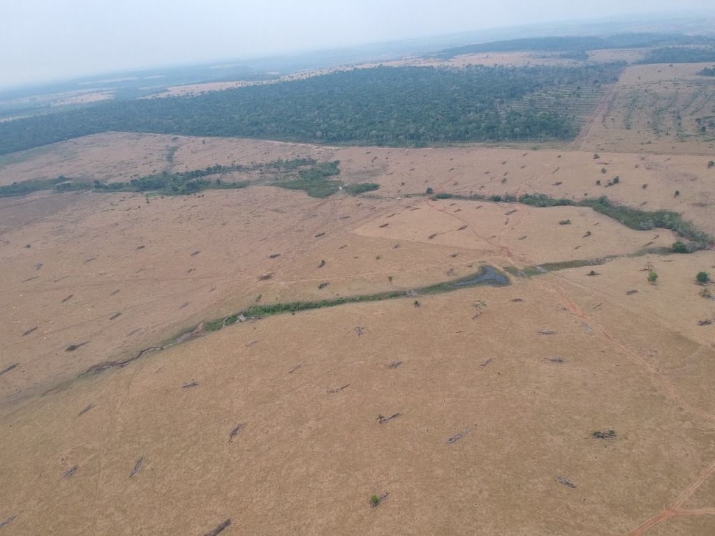 Fazenda à venda, 41140000M2 - Foto 8