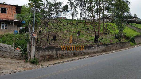 Terreno à venda, 2036m² - Foto 4