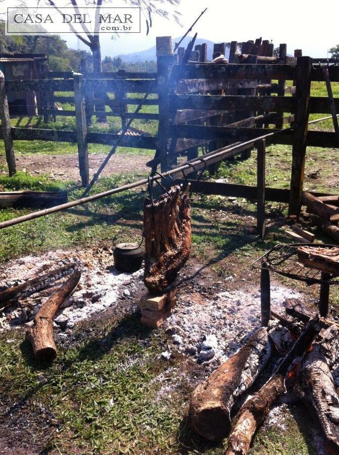 Fazenda à venda com 5 quartos, 160m² - Foto 24