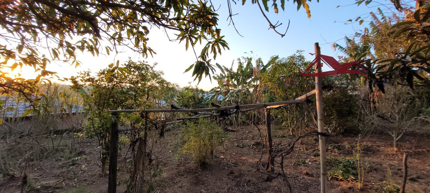 Terreno à venda, 1000m² - Foto 3