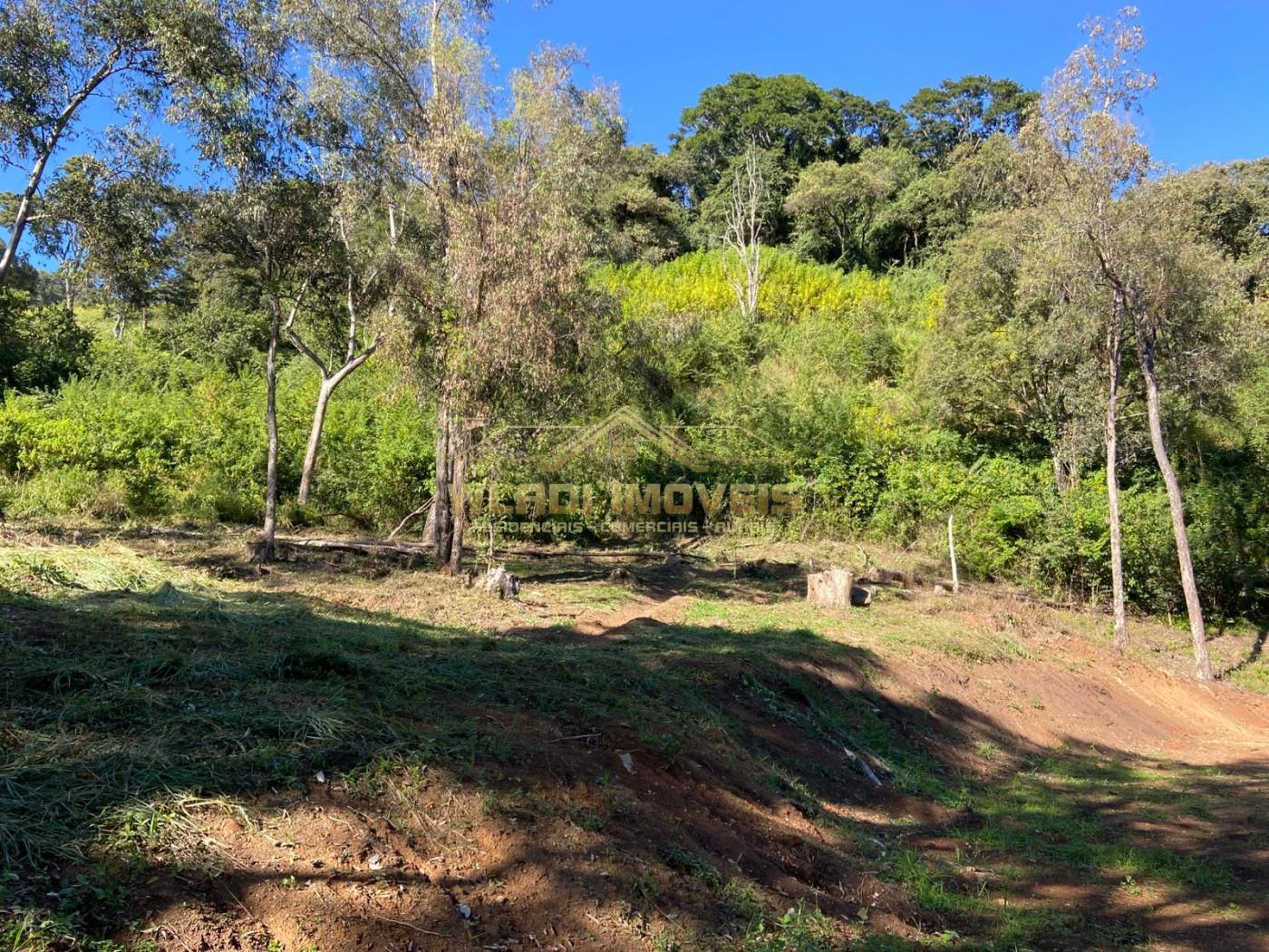 Terreno à venda, 40000m² - Foto 2