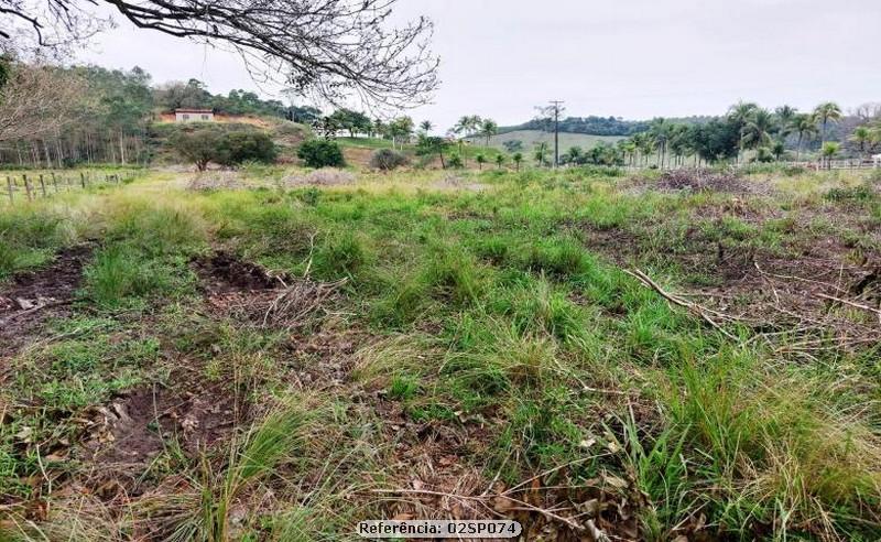 Fazenda à venda com 3 quartos, 41000m² - Foto 3