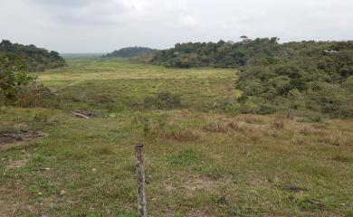 Sítio à venda com 3 quartos, 87000m² - Foto 9
