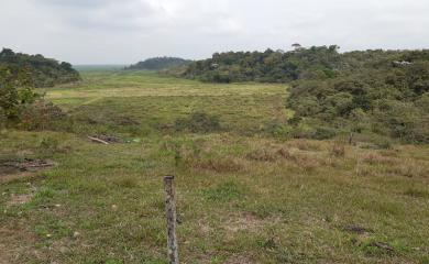 Fazenda à venda com 3 quartos, 87000m² - Foto 9