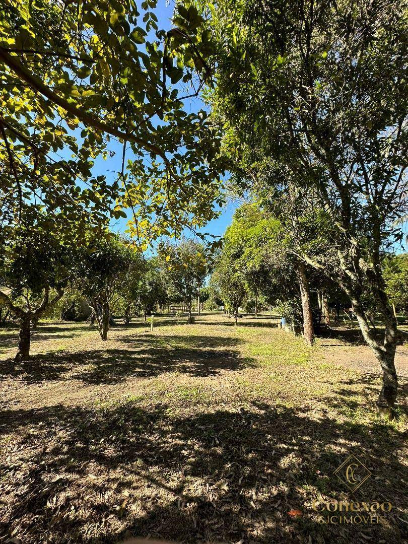 Chácara, 3 quartos, 5000 m² - Foto 43