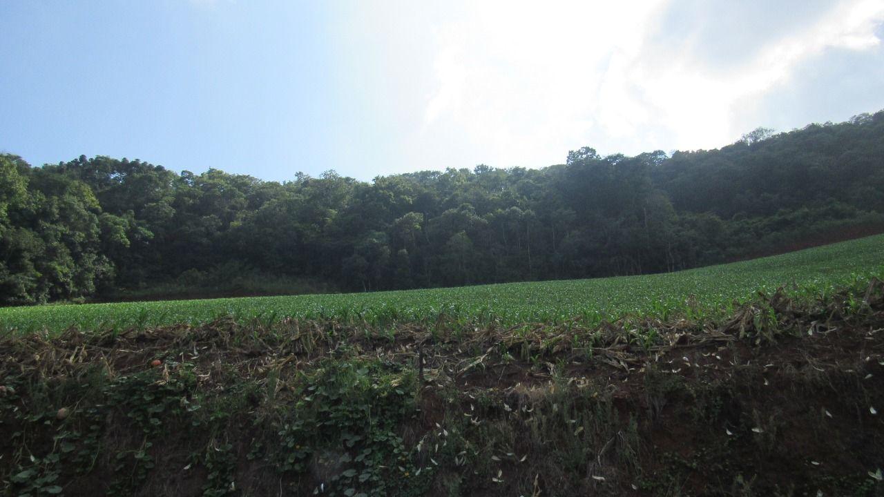 Loteamento e Condomínio, 10 hectares - Foto 4