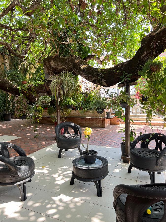 Sítio à venda com 4 quartos, 3880m² - Foto 9