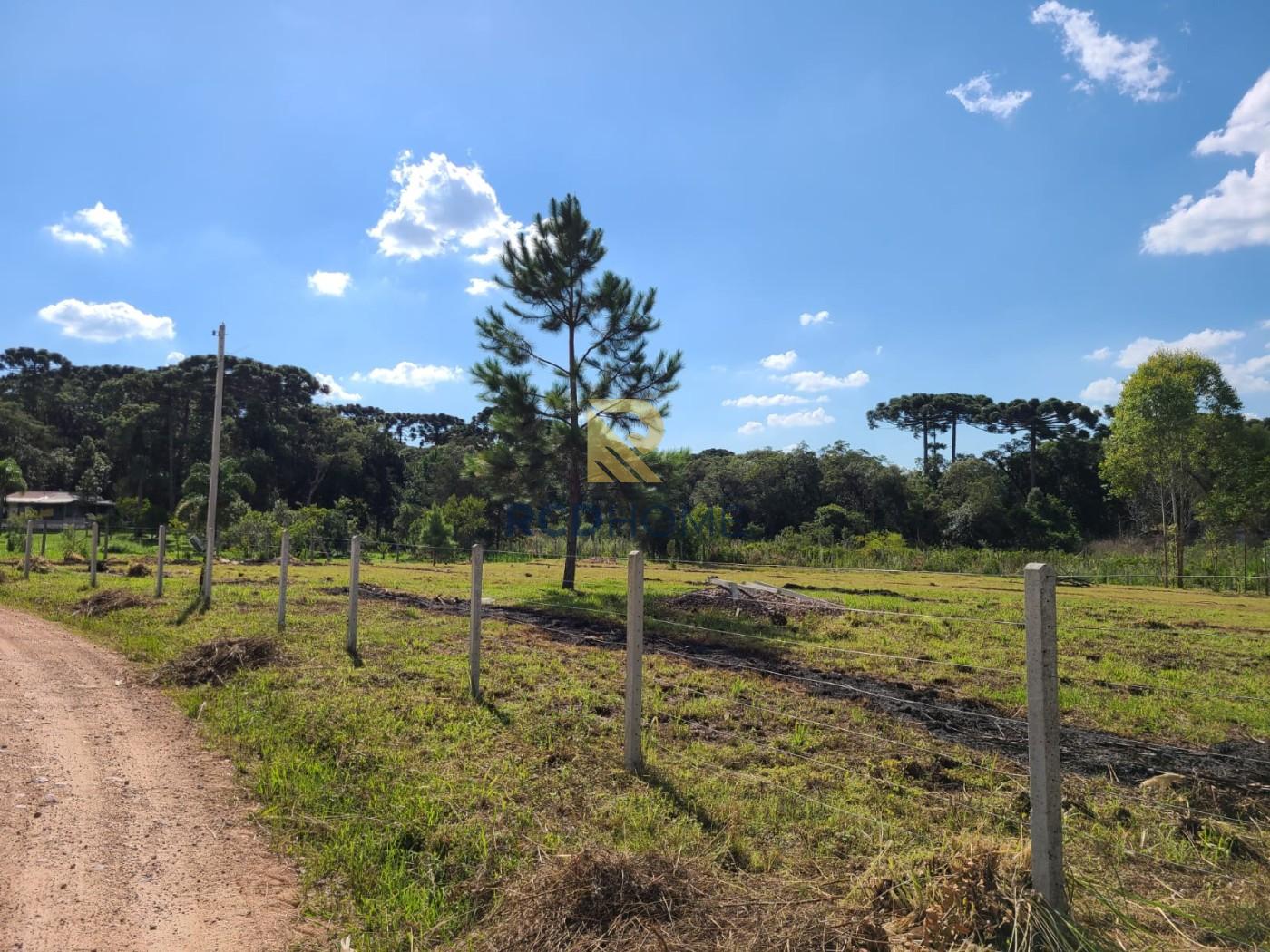 Terreno, 3500 m² - Foto 5