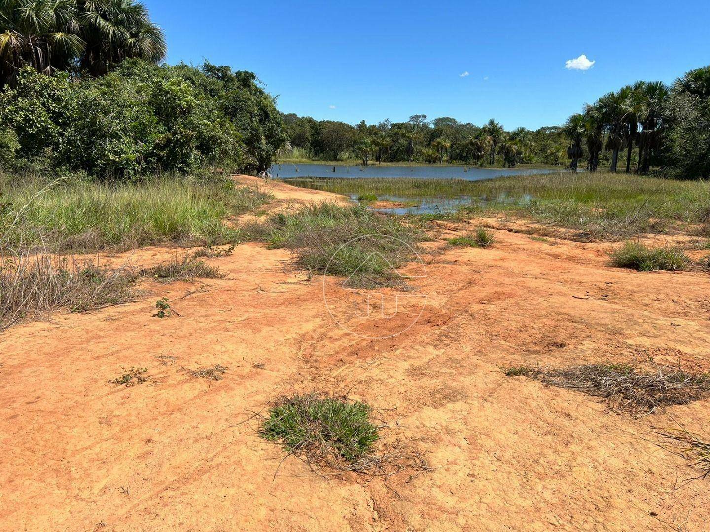 Fazenda à venda, 46440000M2 - Foto 12