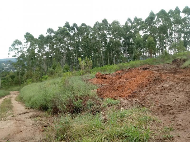 Fazenda à venda, 5000m² - Foto 8