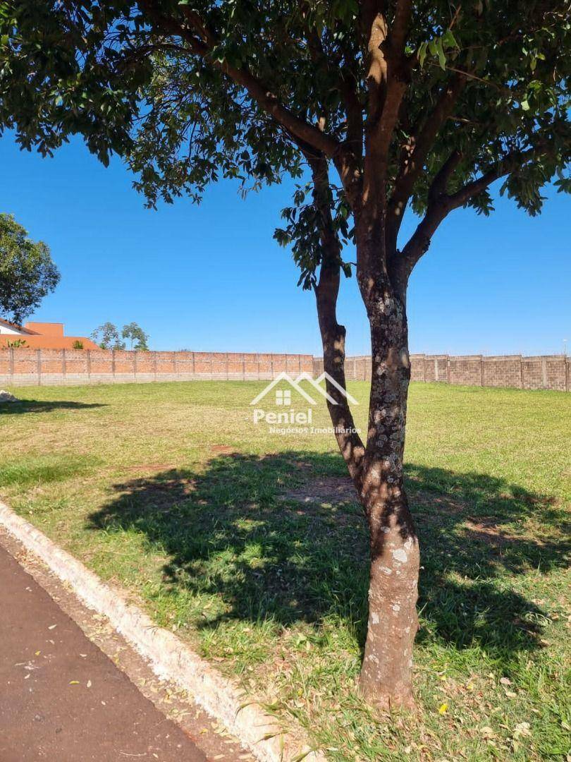 Loteamento e Condomínio à venda, 780M2 - Foto 8