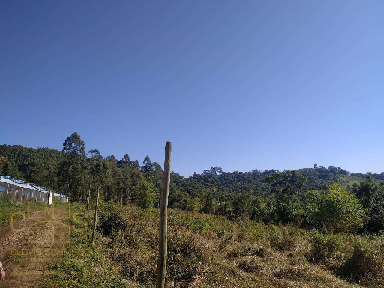 Sítio à venda com 3 quartos, 100000M2 - Foto 34