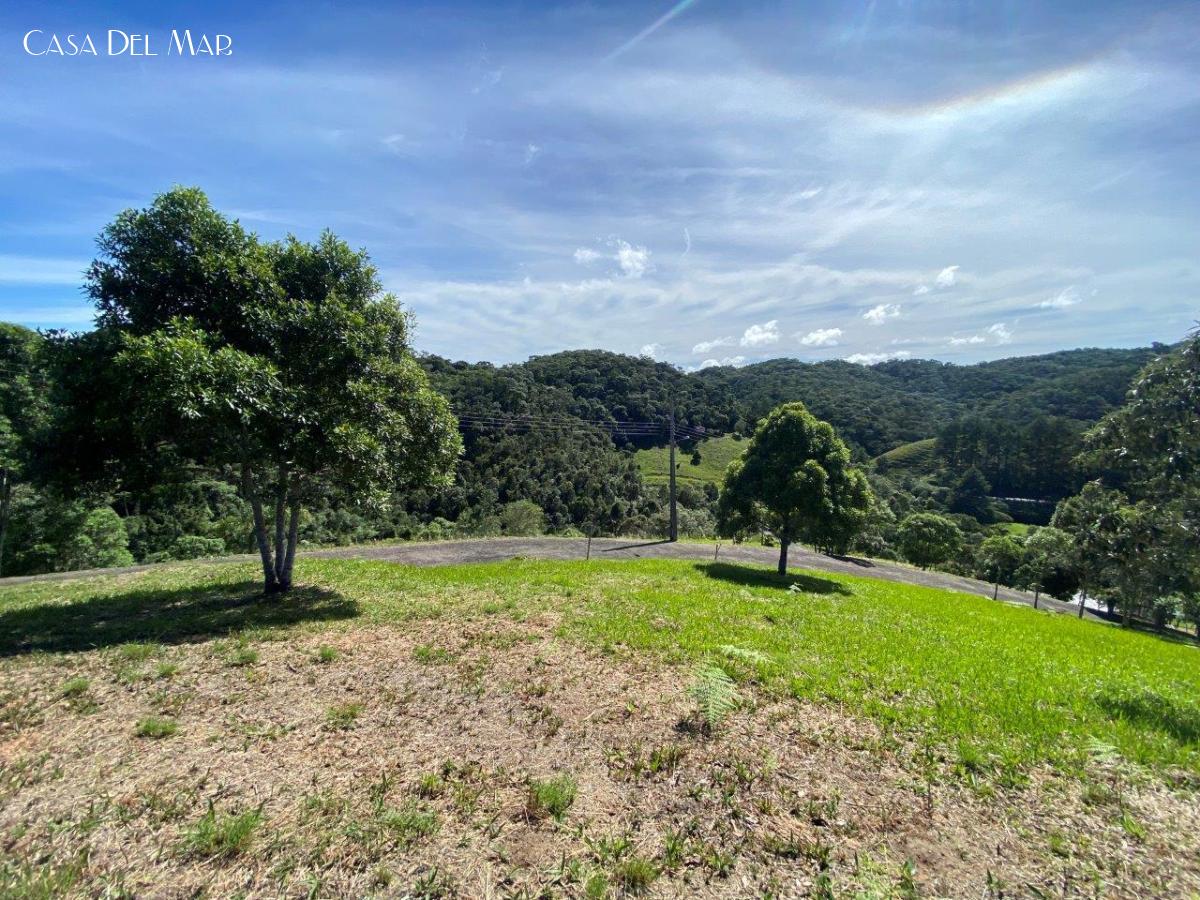 Terreno à venda, 1636m² - Foto 4