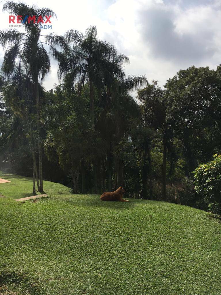 Sítio à venda com 4 quartos, 10370M2 - Foto 3